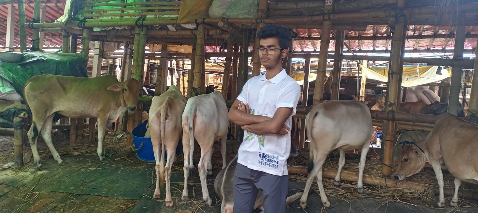 A member of the InsureCow team with the cattle in the fattening shed